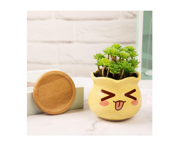 Ceramic Succulent Pots with Bamboo Trays (4 Piece)